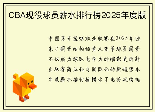 CBA现役球员薪水排行榜2025年度版